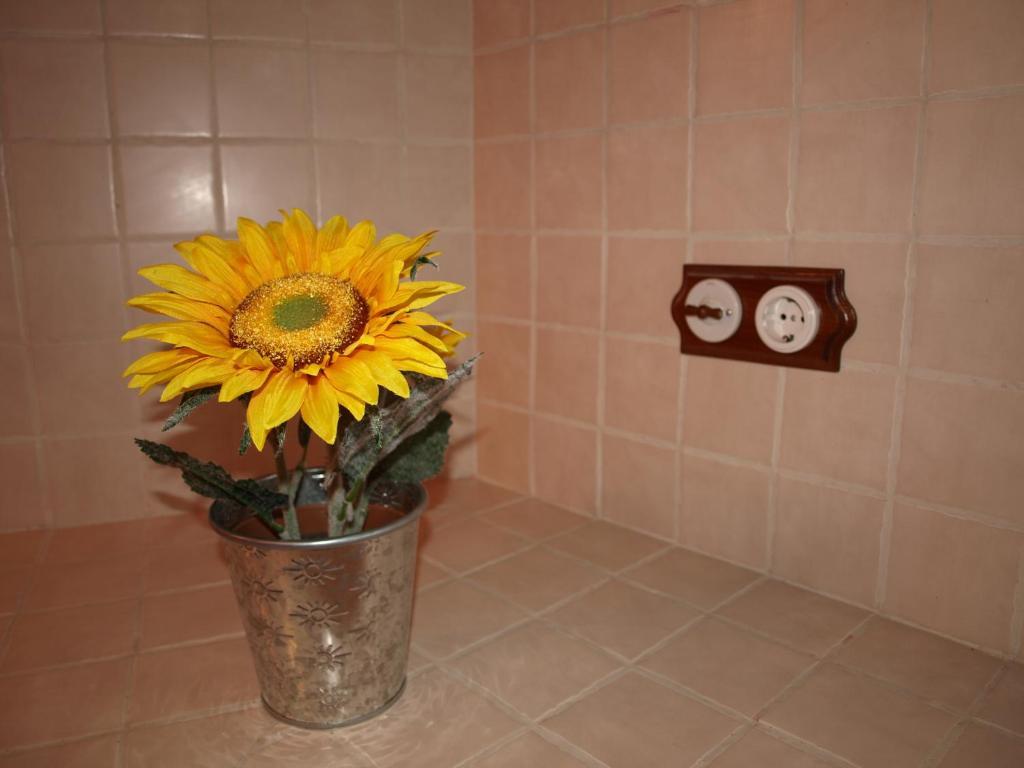 Apartamentos Rurales Camino Del Cid Castejon de las Armas Room photo